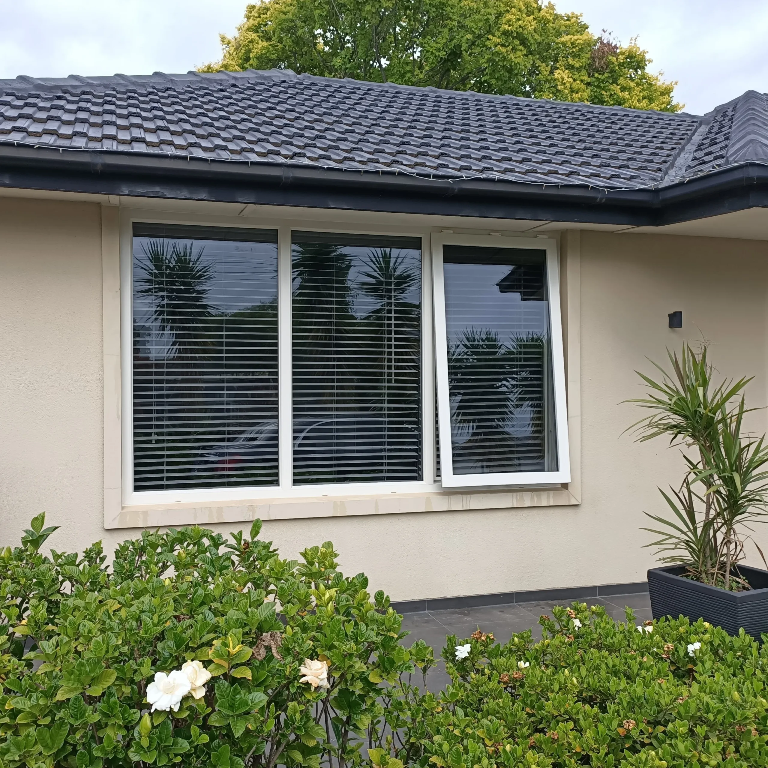Perth uPVC Windows &mdash; Novalite double glazed windows